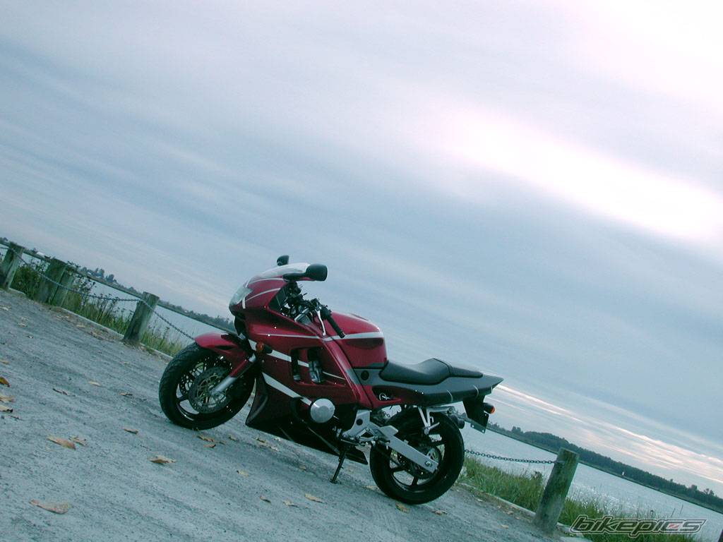 Bike Photo 11089