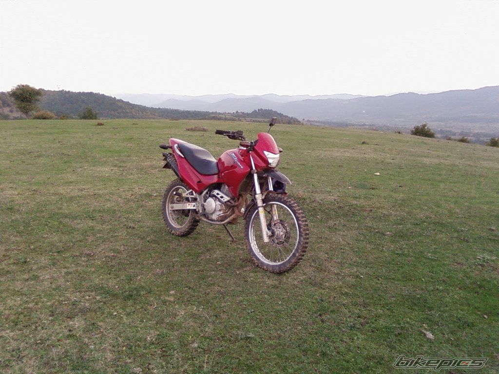 Photo 1108901