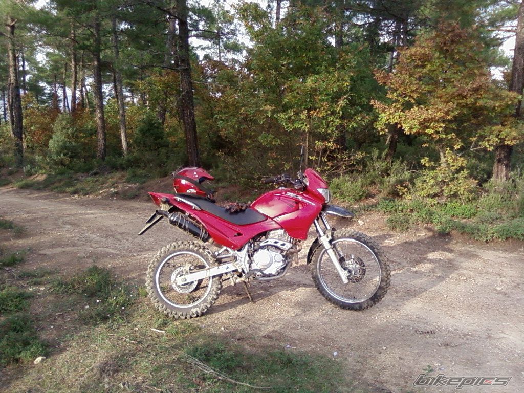Photo 1108903