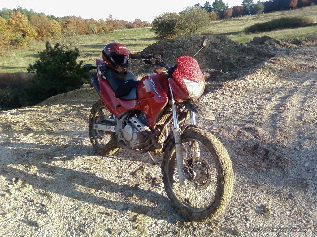 Photo 1108912