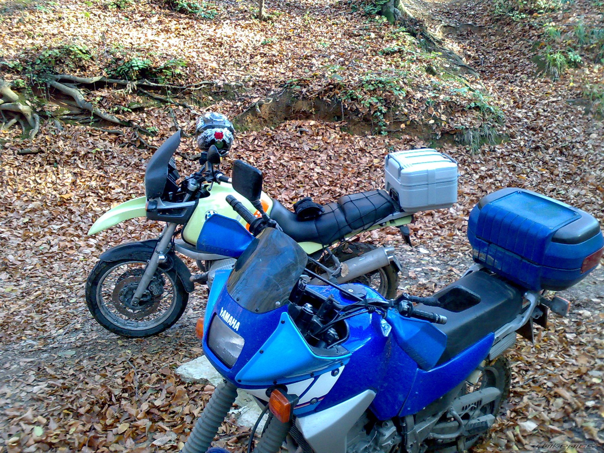 Photo 1108914