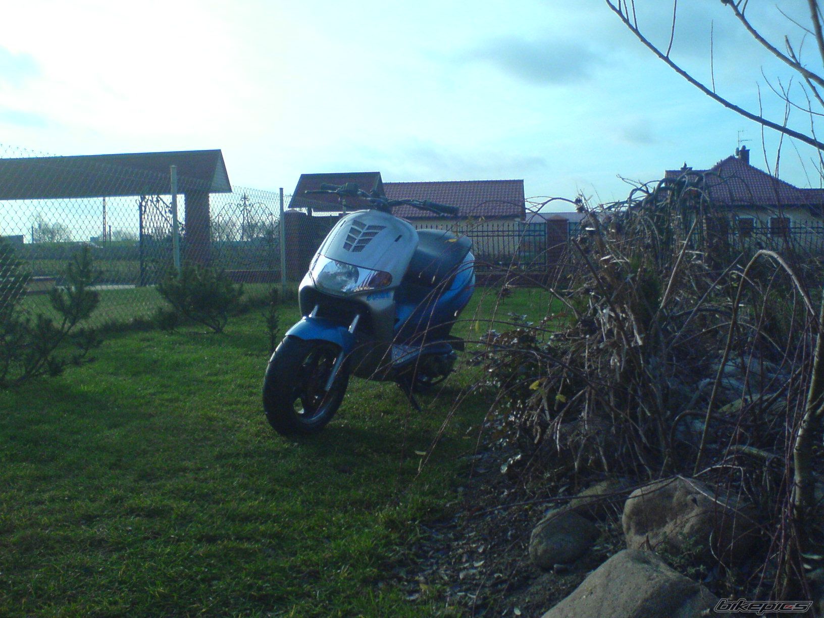 Photo 1109147