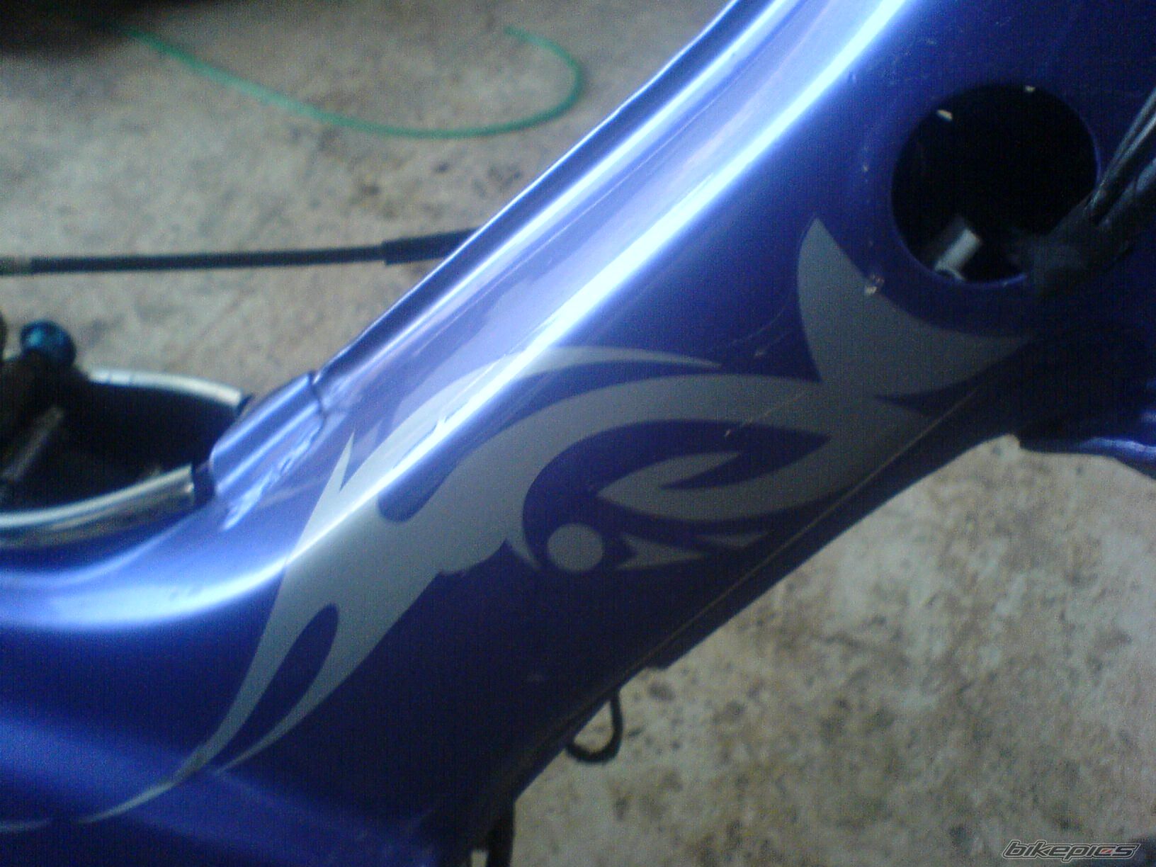 Photo 1109216