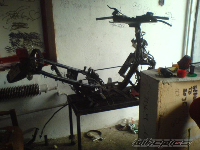Photo 1109244