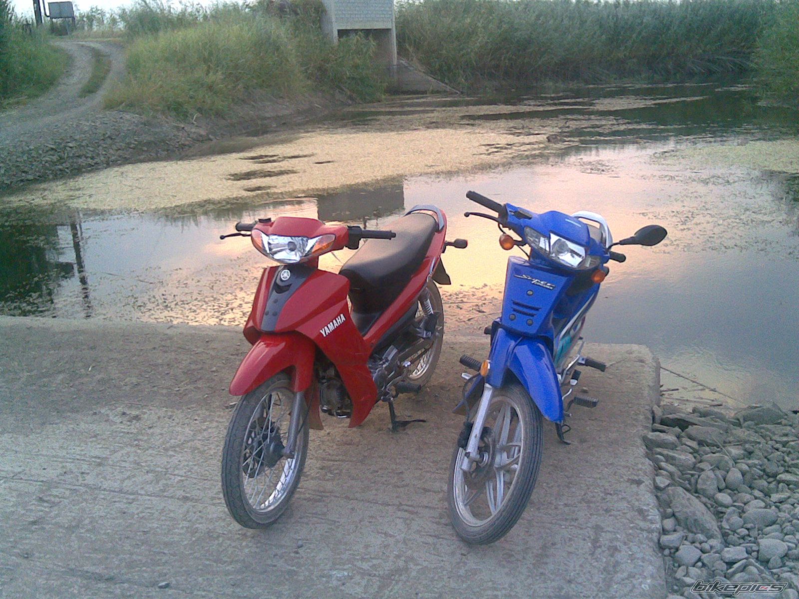Photo 1109349
