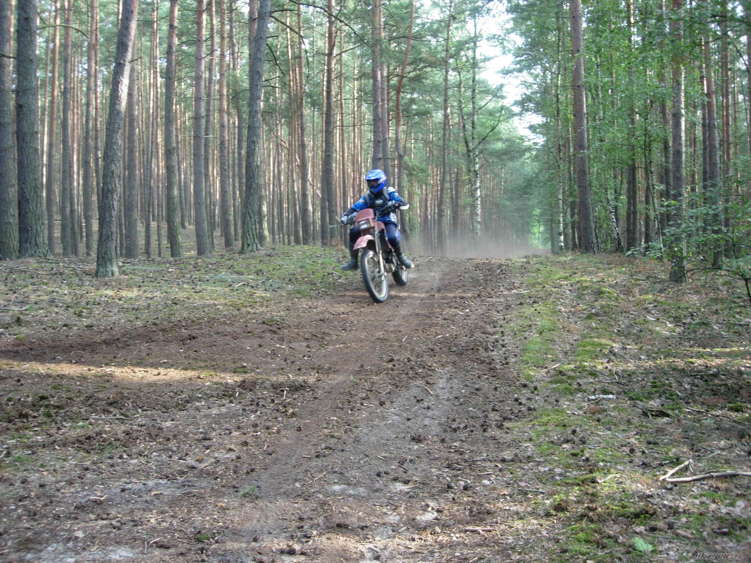 Photo 1109435