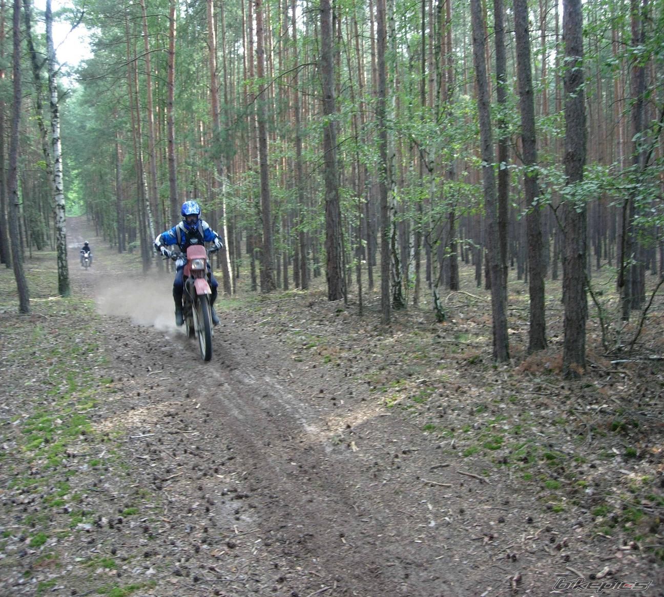 Photo 1109440