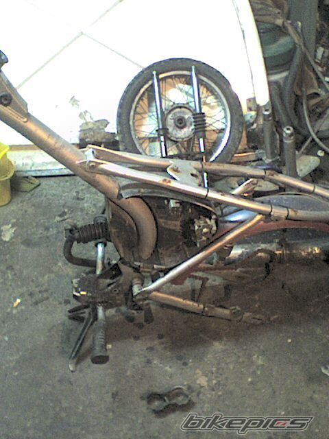 Photo 1109450