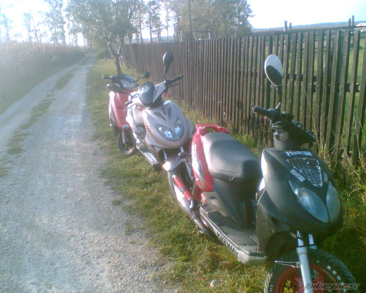 Bike Photo 1109556
