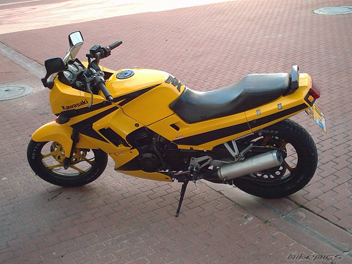 Photo 110960