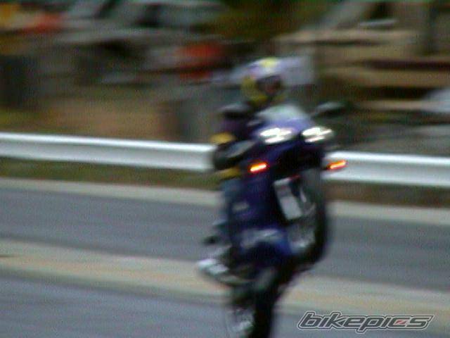 Photo 11097