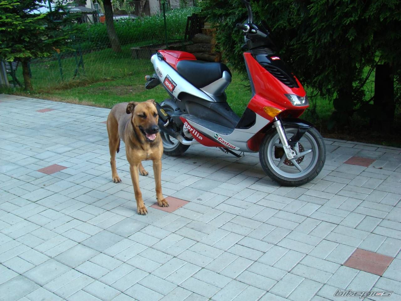Photo 1109779