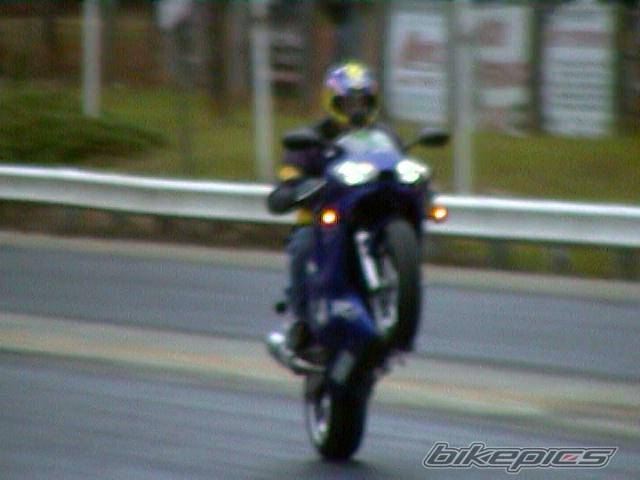 Photo 11098