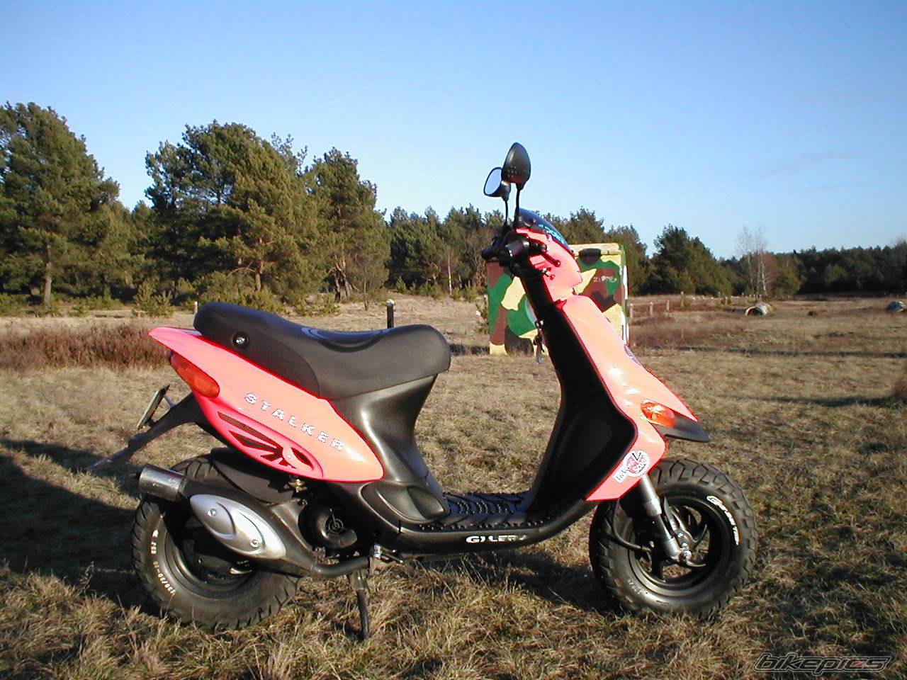 Photo 110986