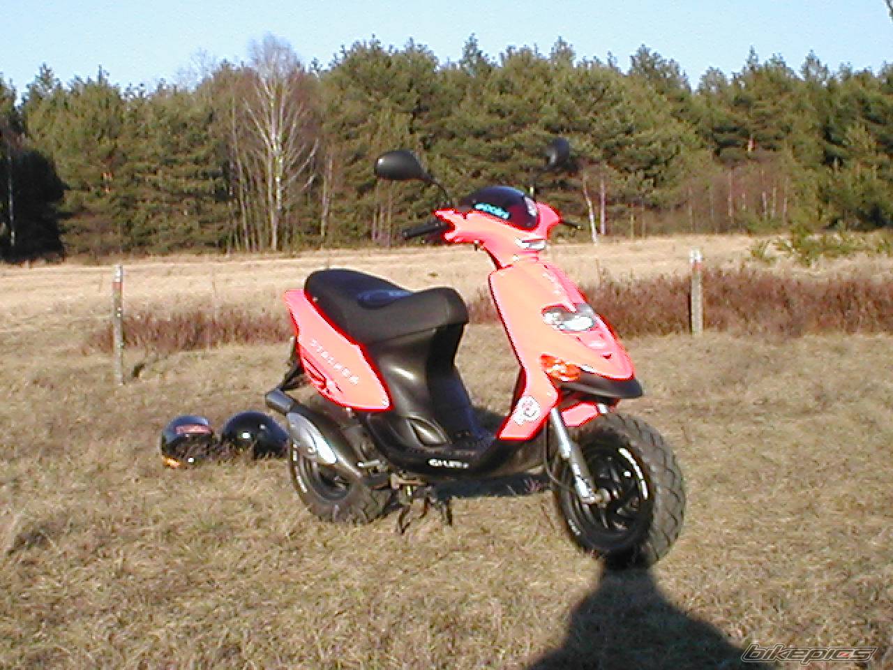 Photo 110987