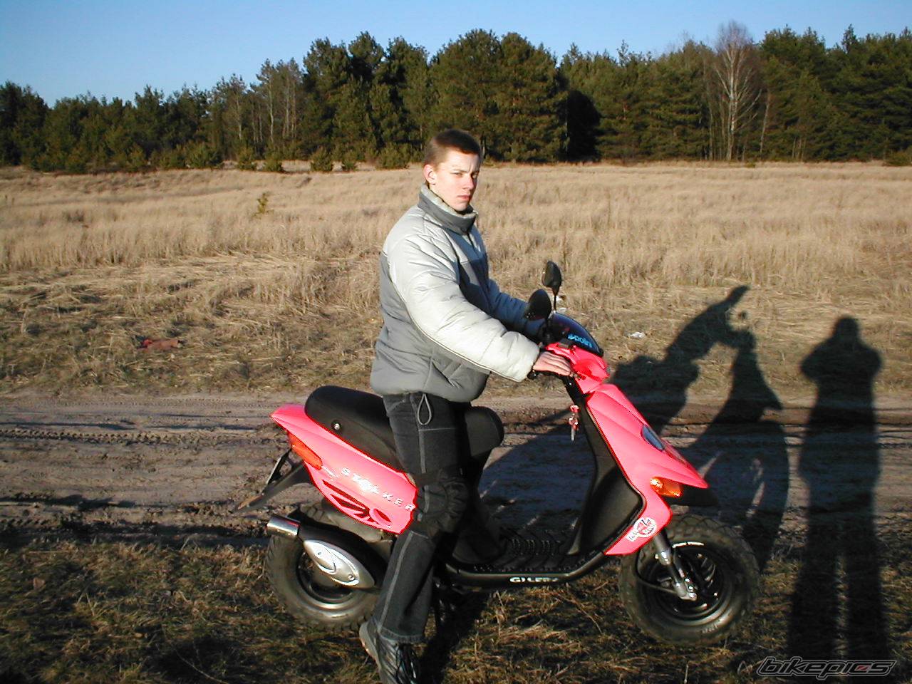 Photo 110995