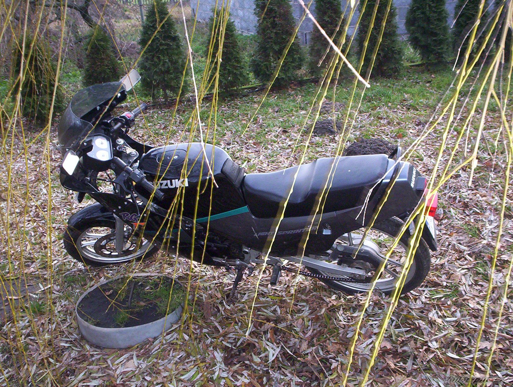 Photo 1110092