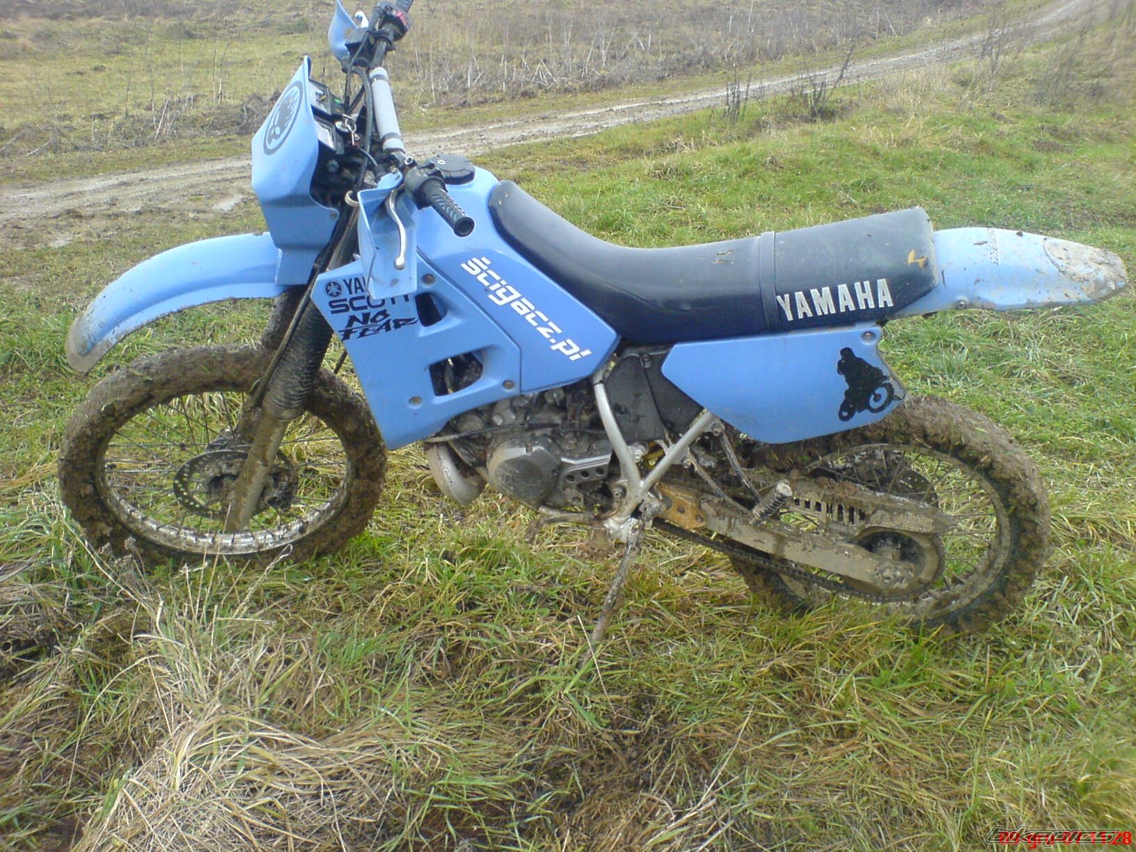 Photo 1110103