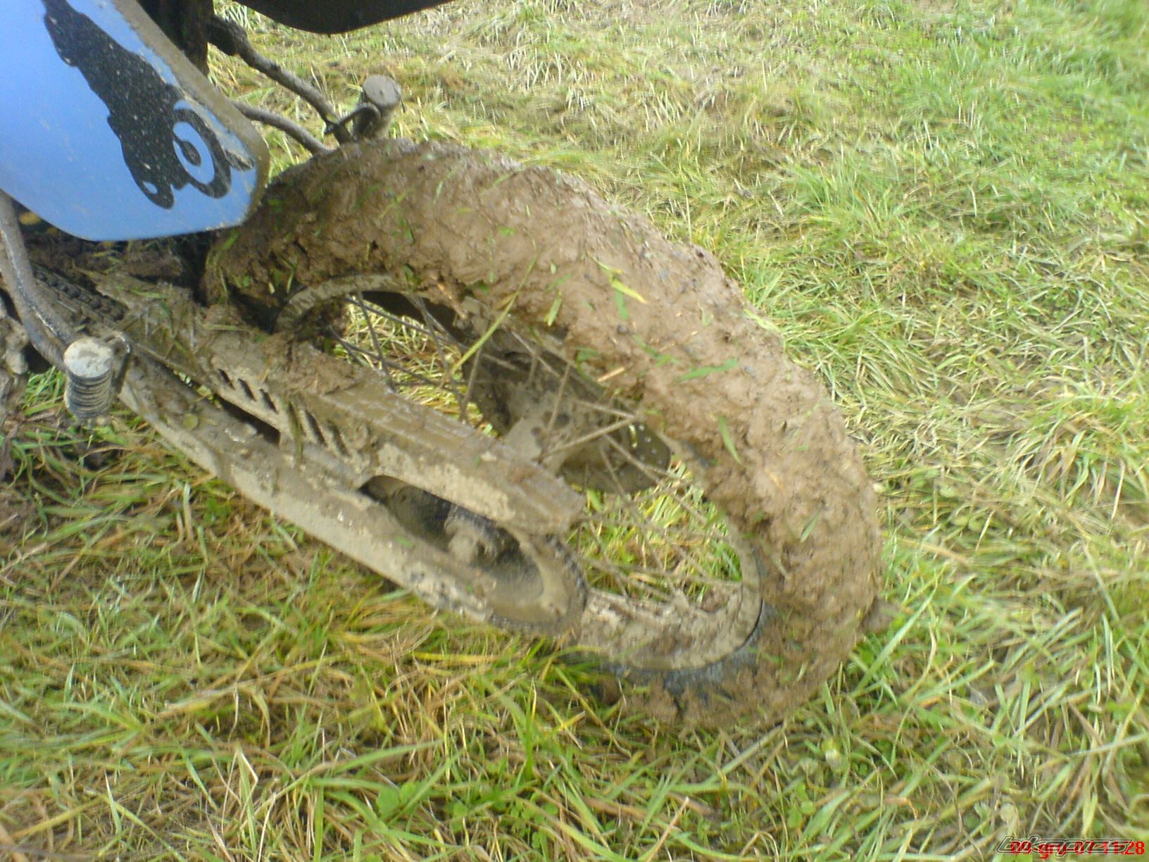 Photo 1110109