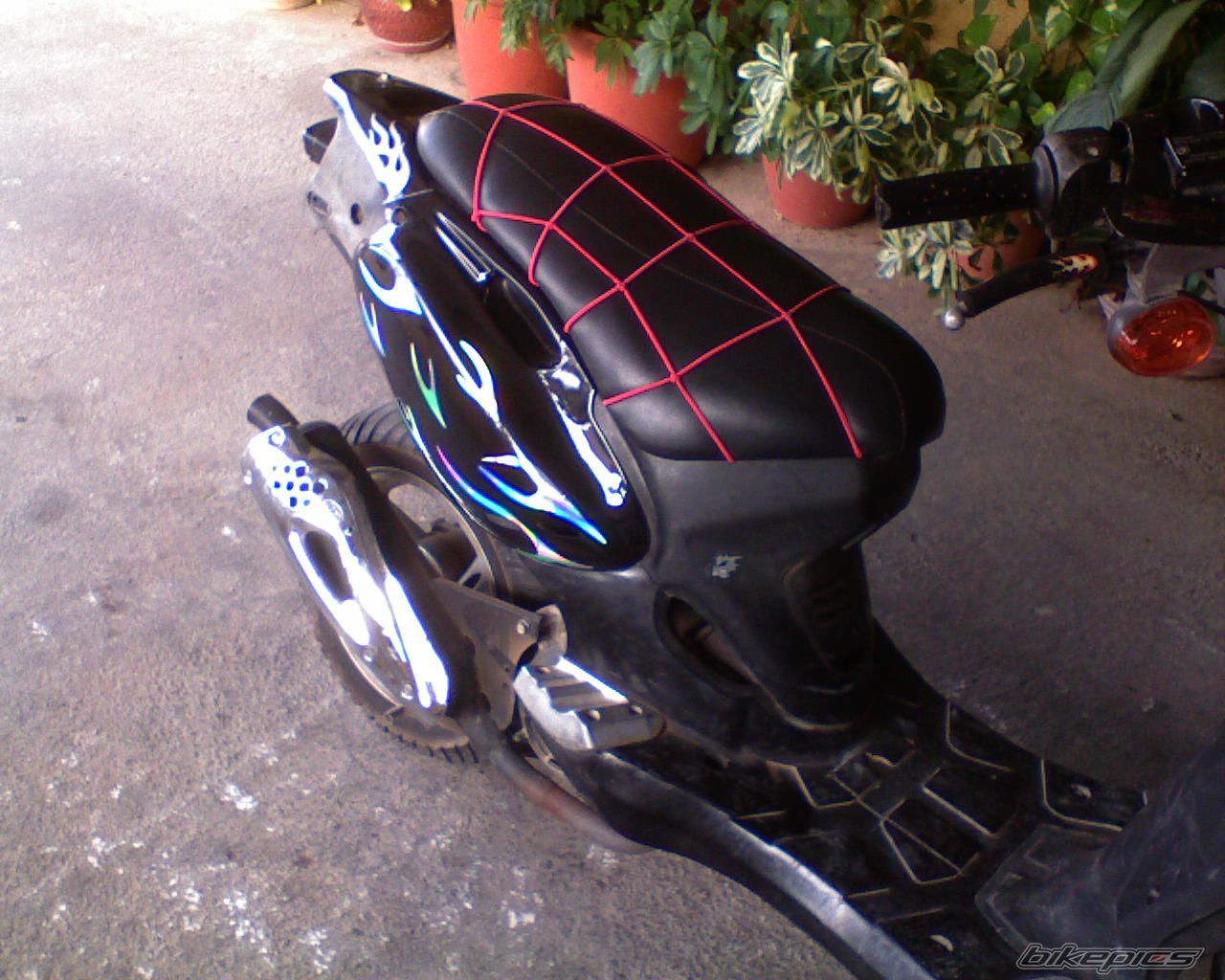 Photo 1110227