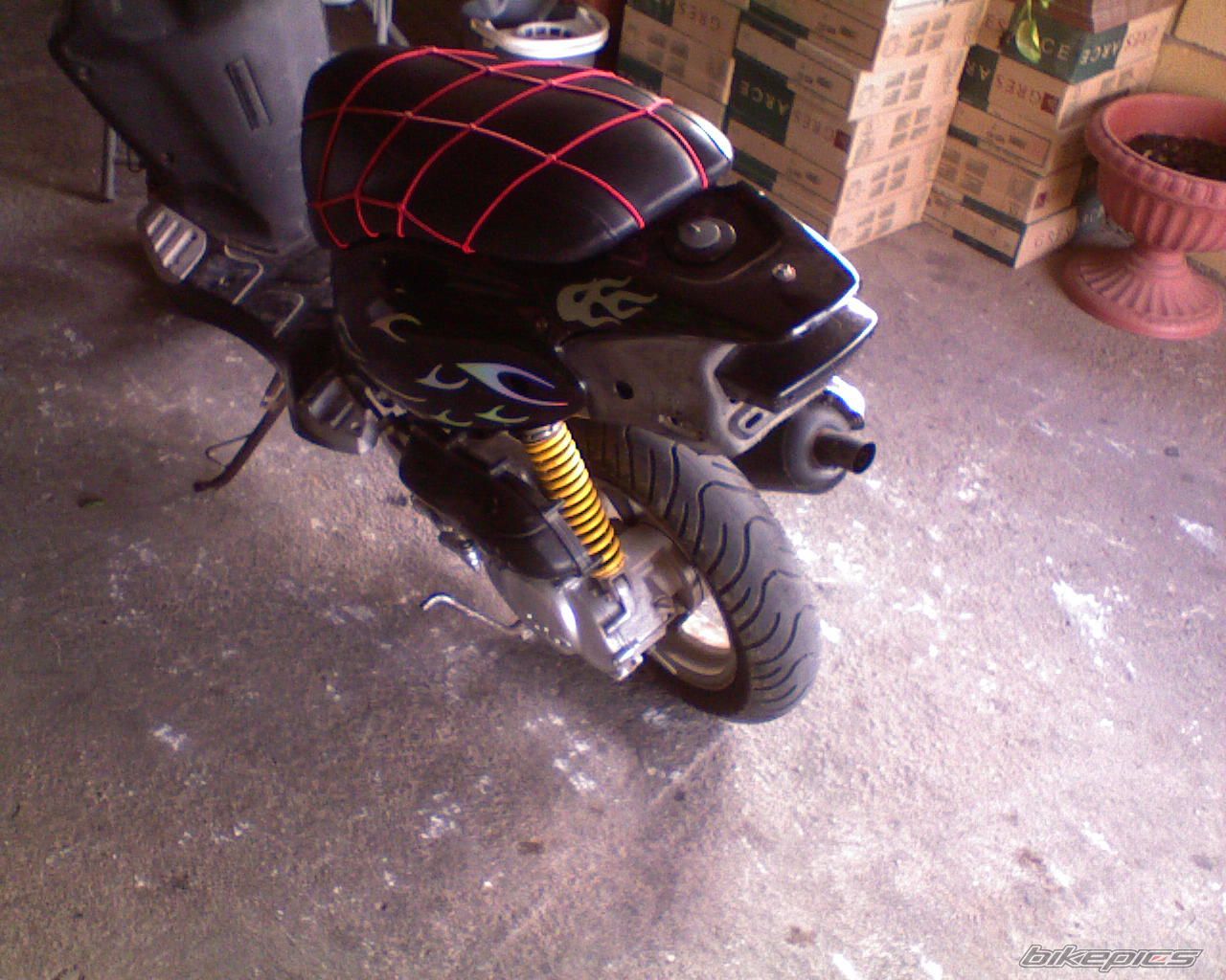 Photo 1110232