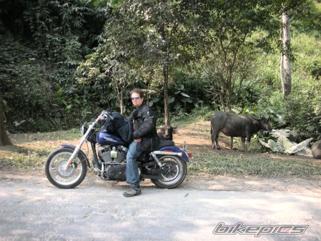 Photo 1110239