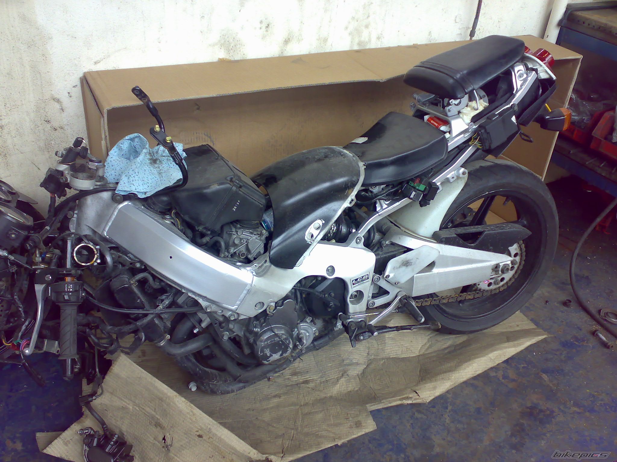 Photo 1110285