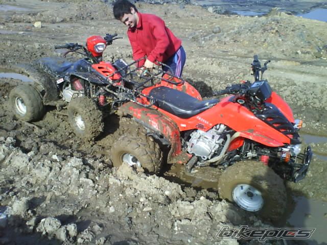 Photo 1110317