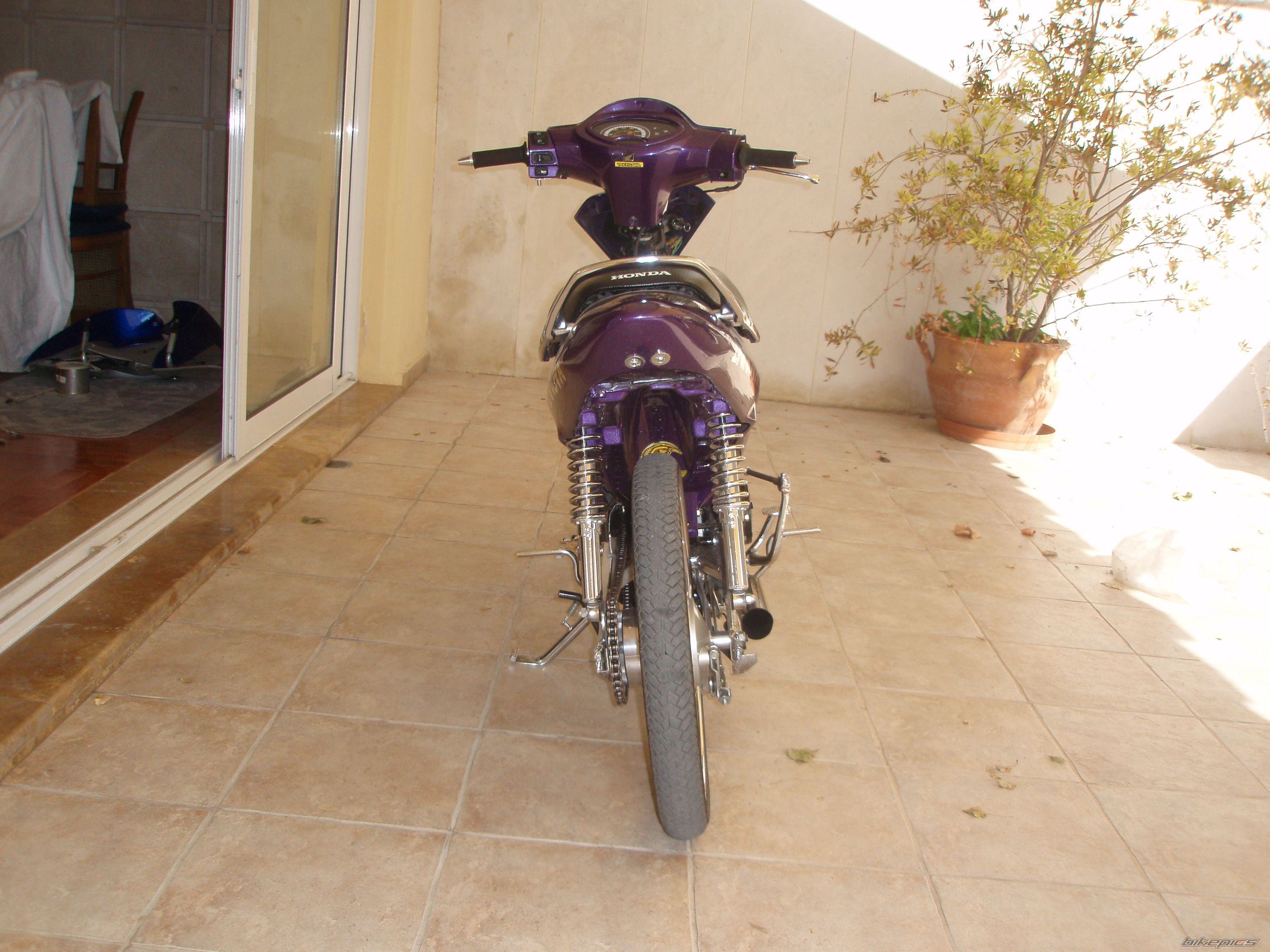 Photo 1110335