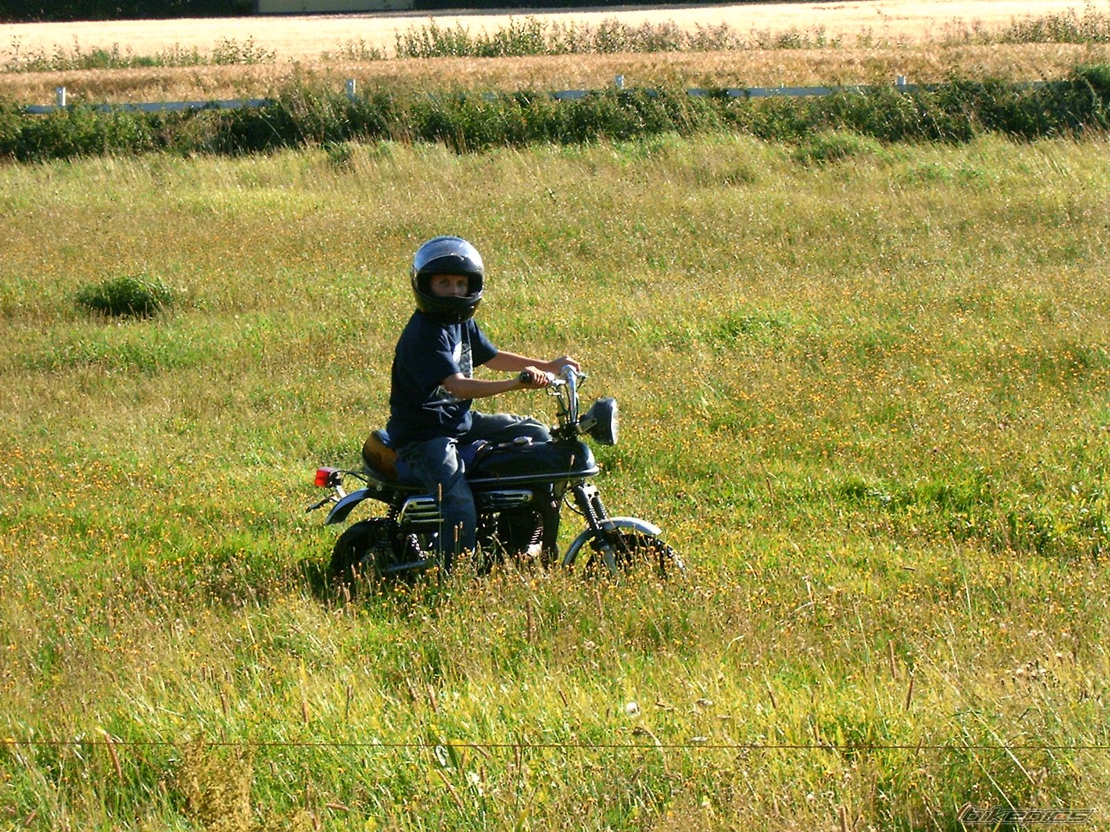 Photo 1110338