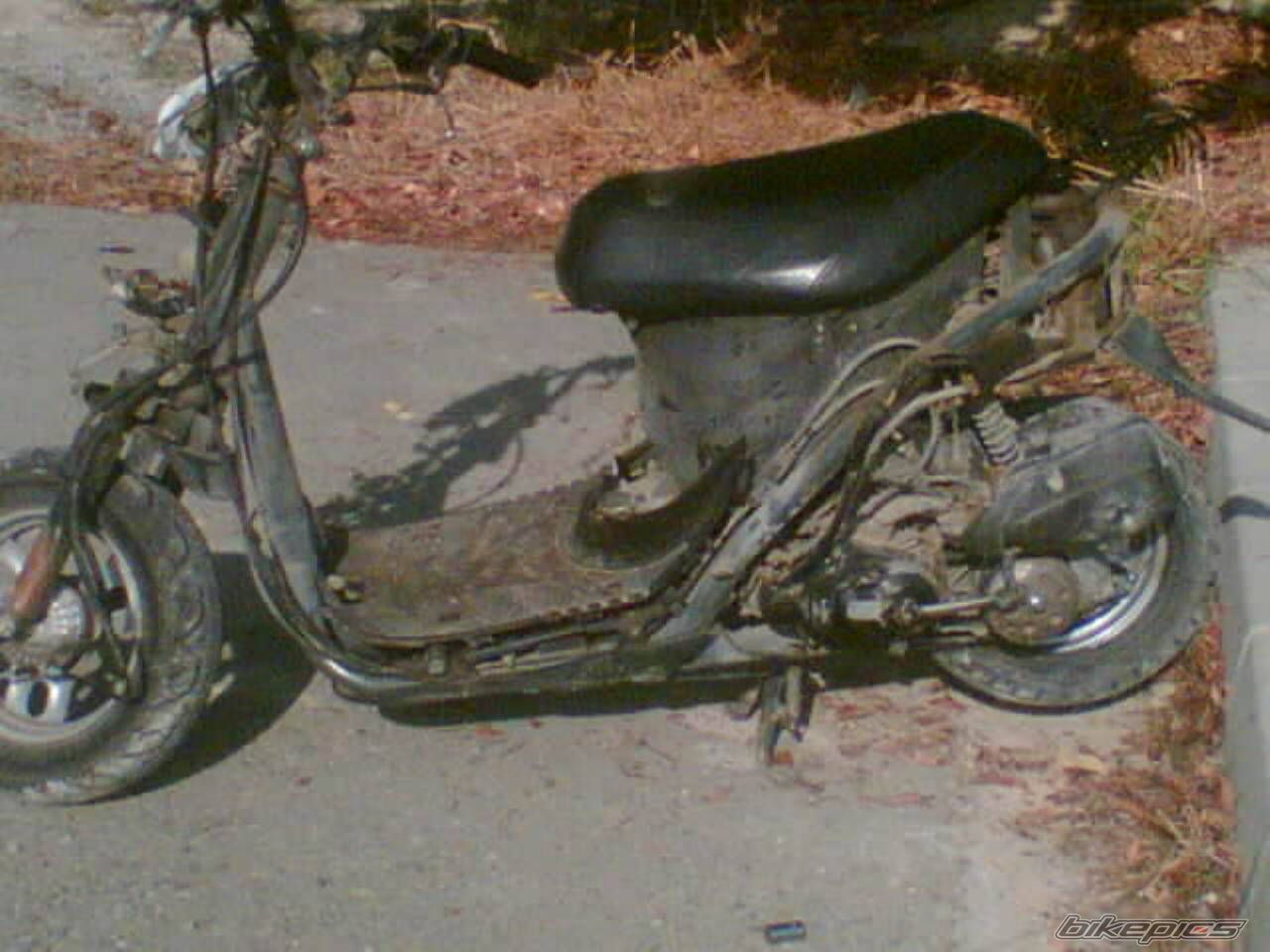 Photo 1110428