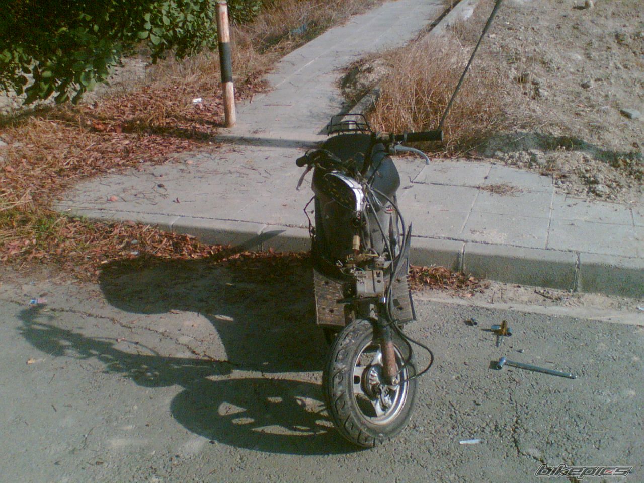 Photo 1110433