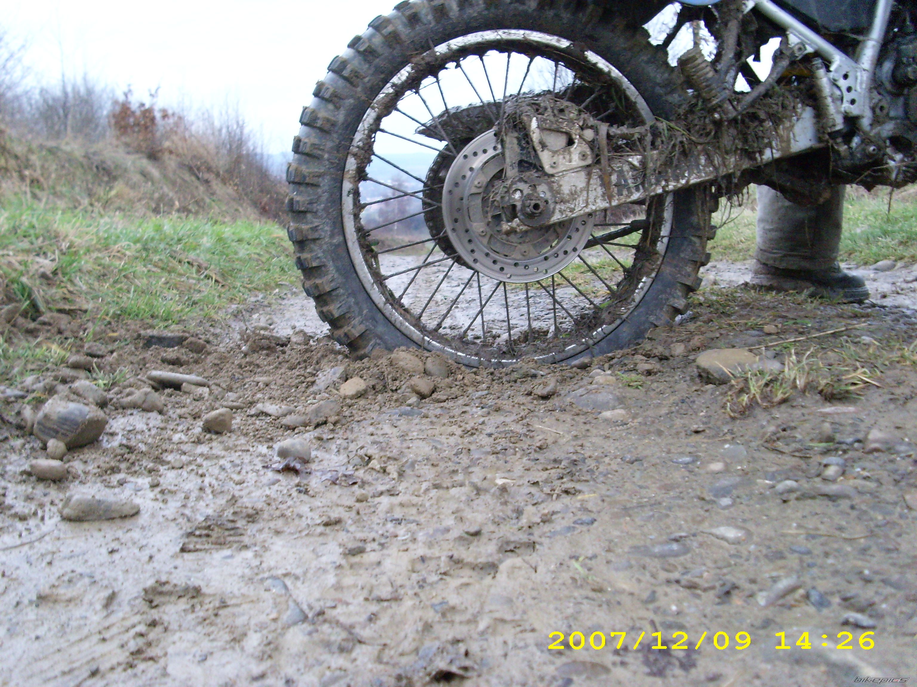 Photo 1110453