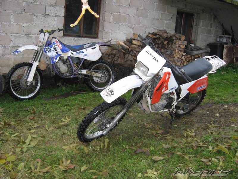 Bike Photo 1110467