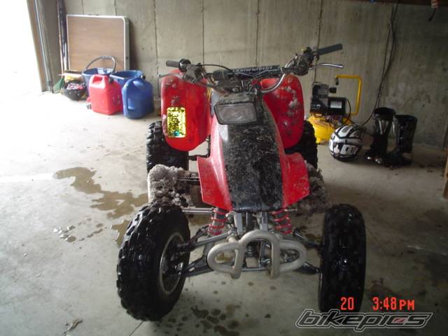 Photo 111051