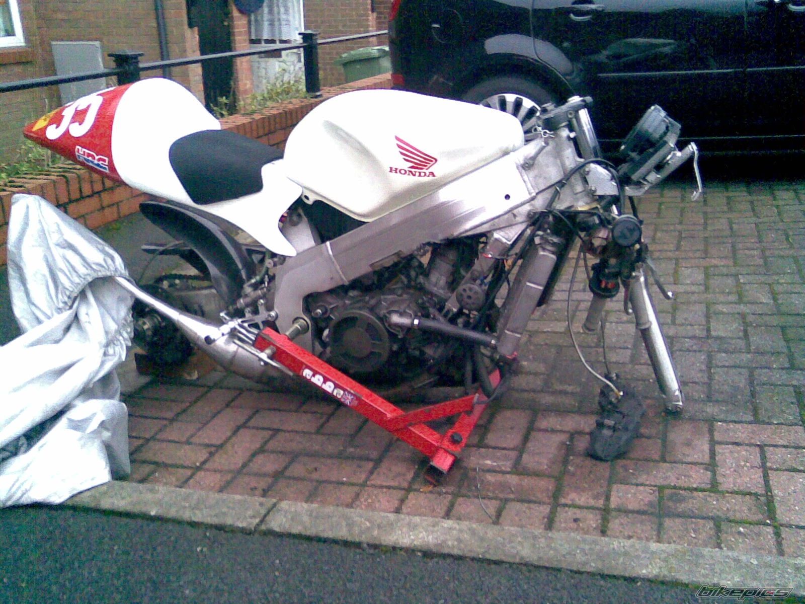 Photo 1110594