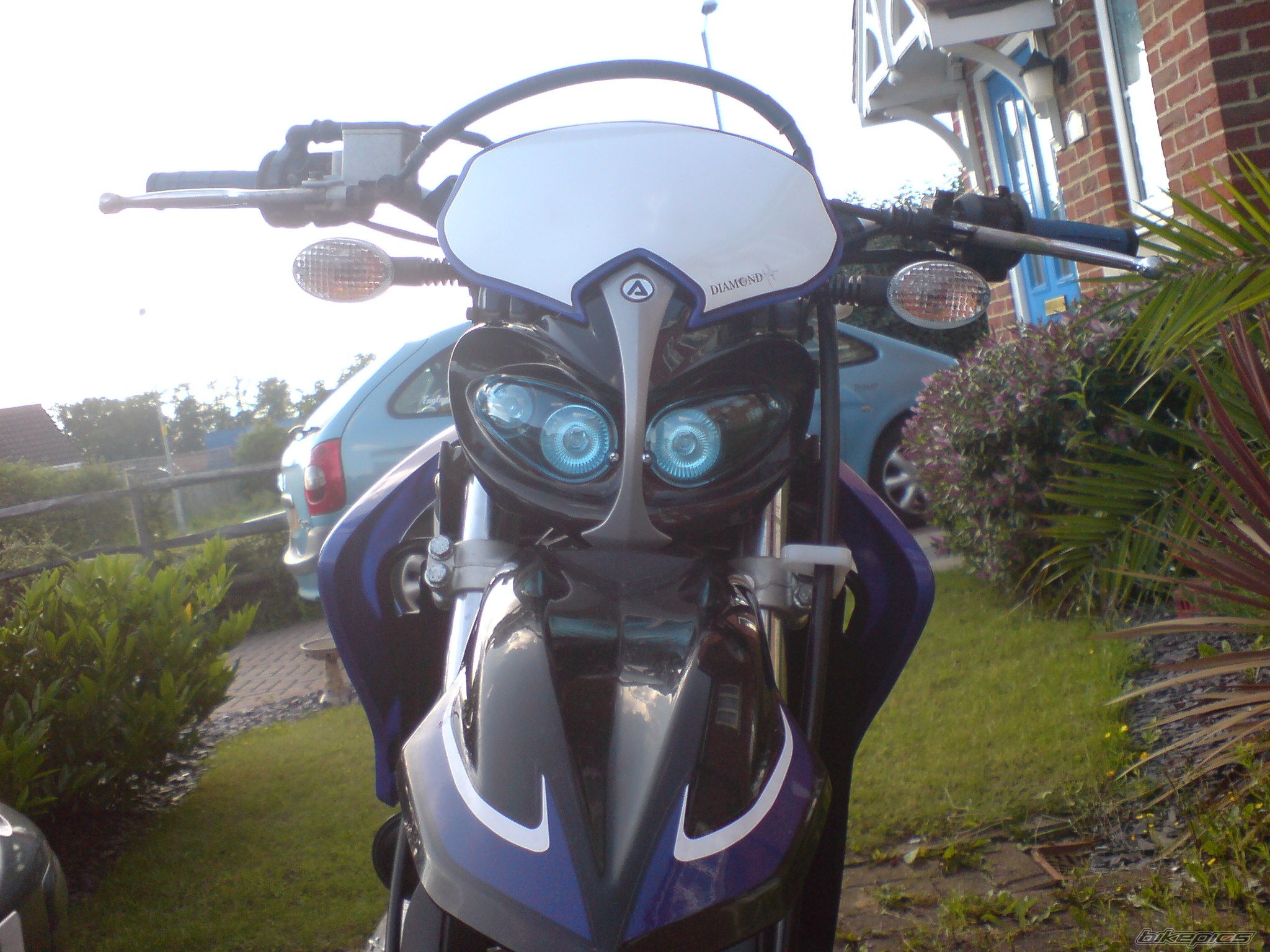 Photo 1110595