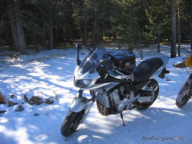 Photo 1110789