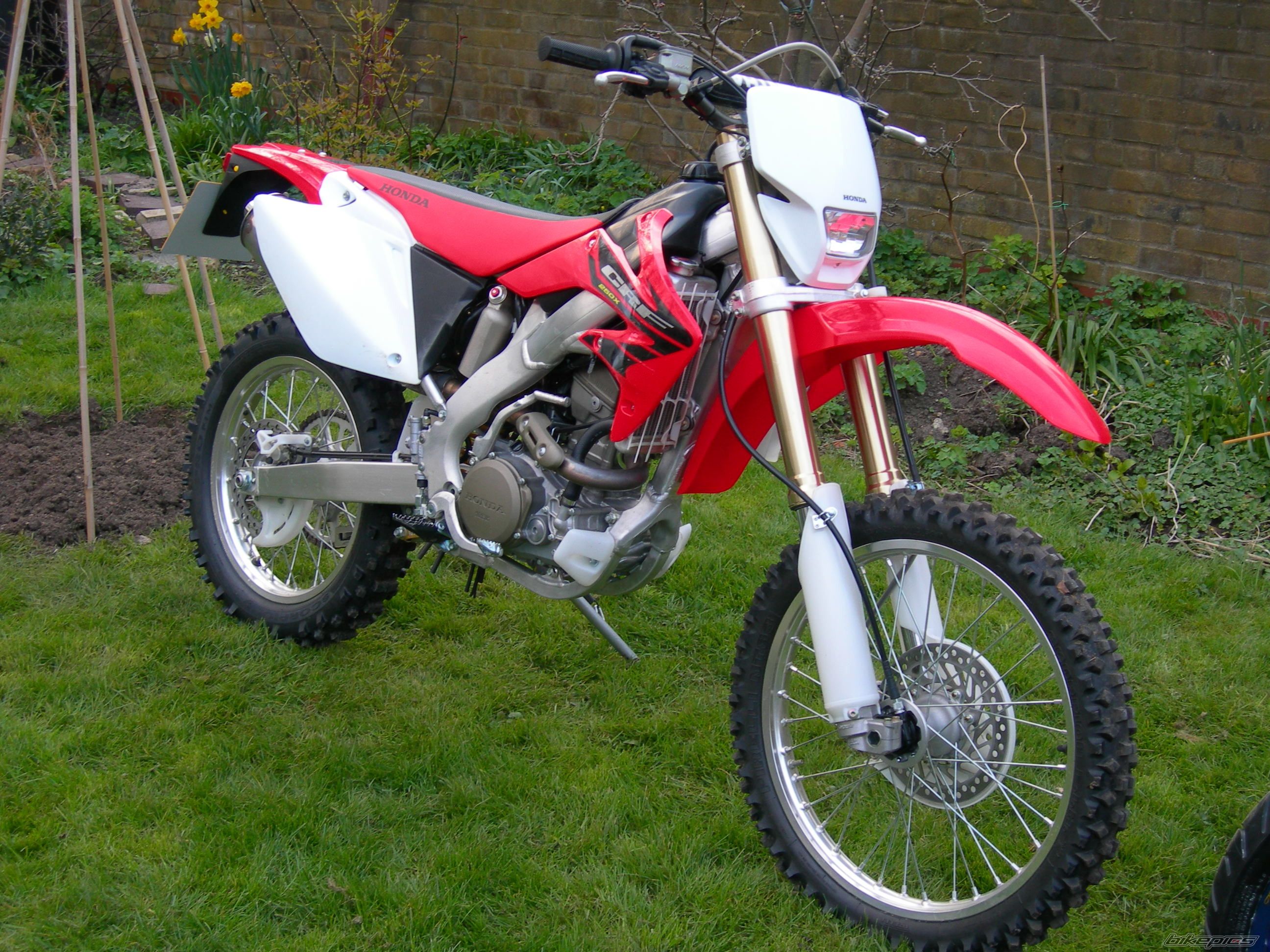 Photo 1110793