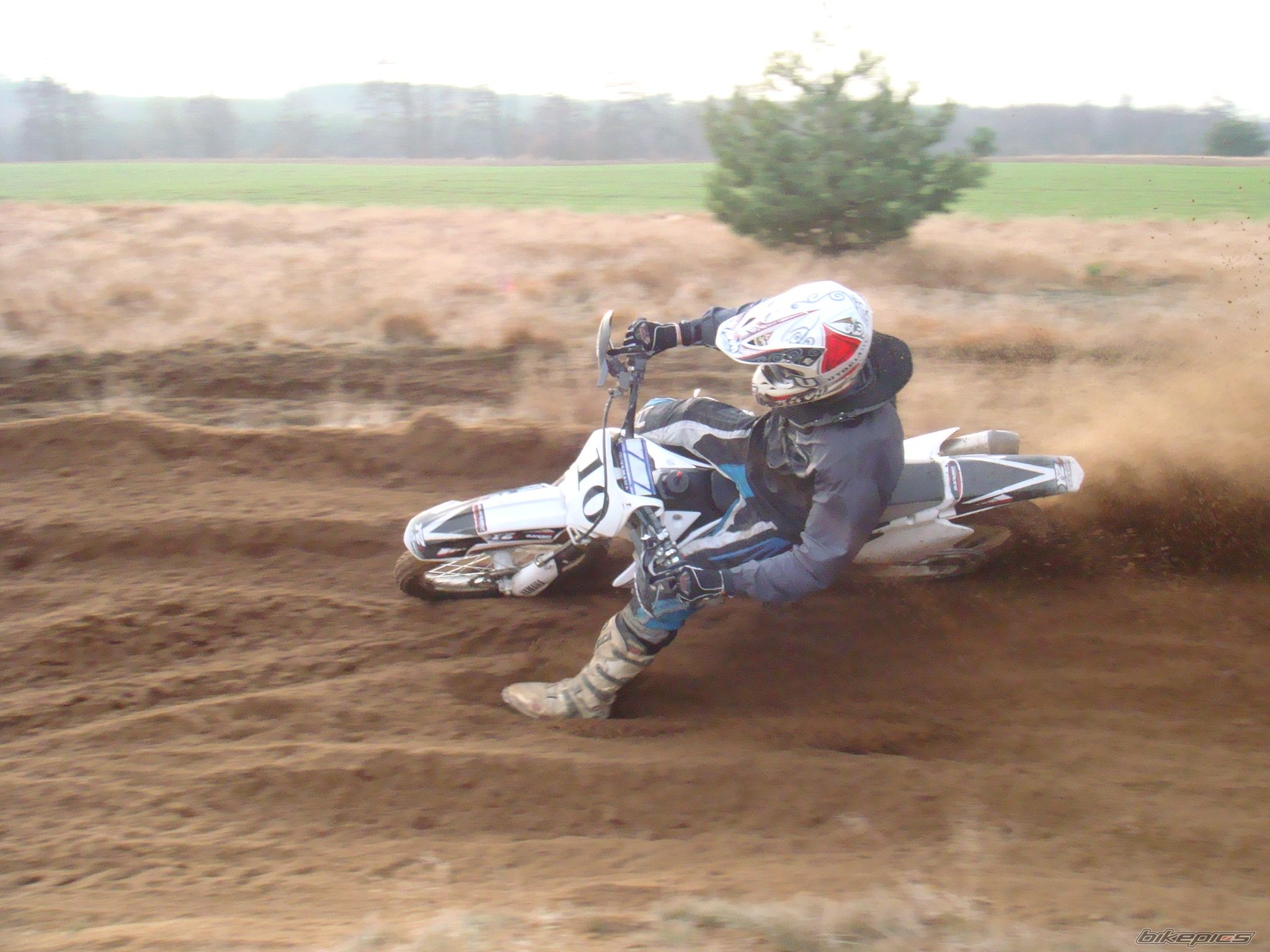 Photo 1110796