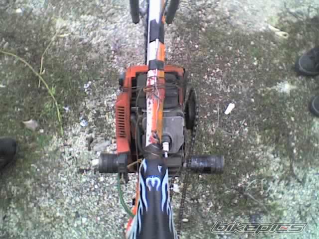 Photo 1110853