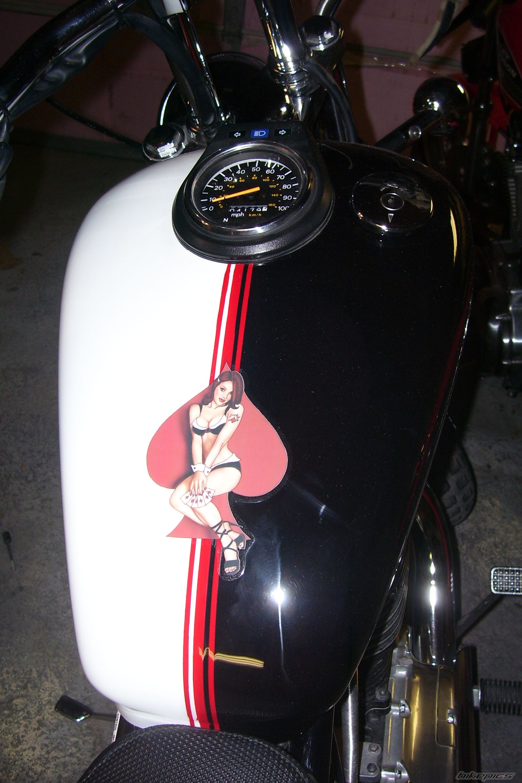 Photo 1111029