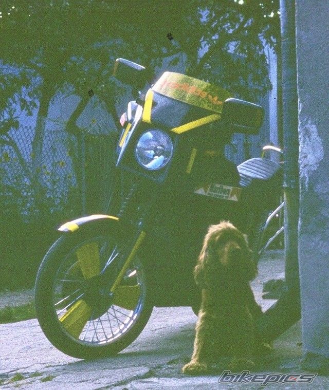Photo 1111075