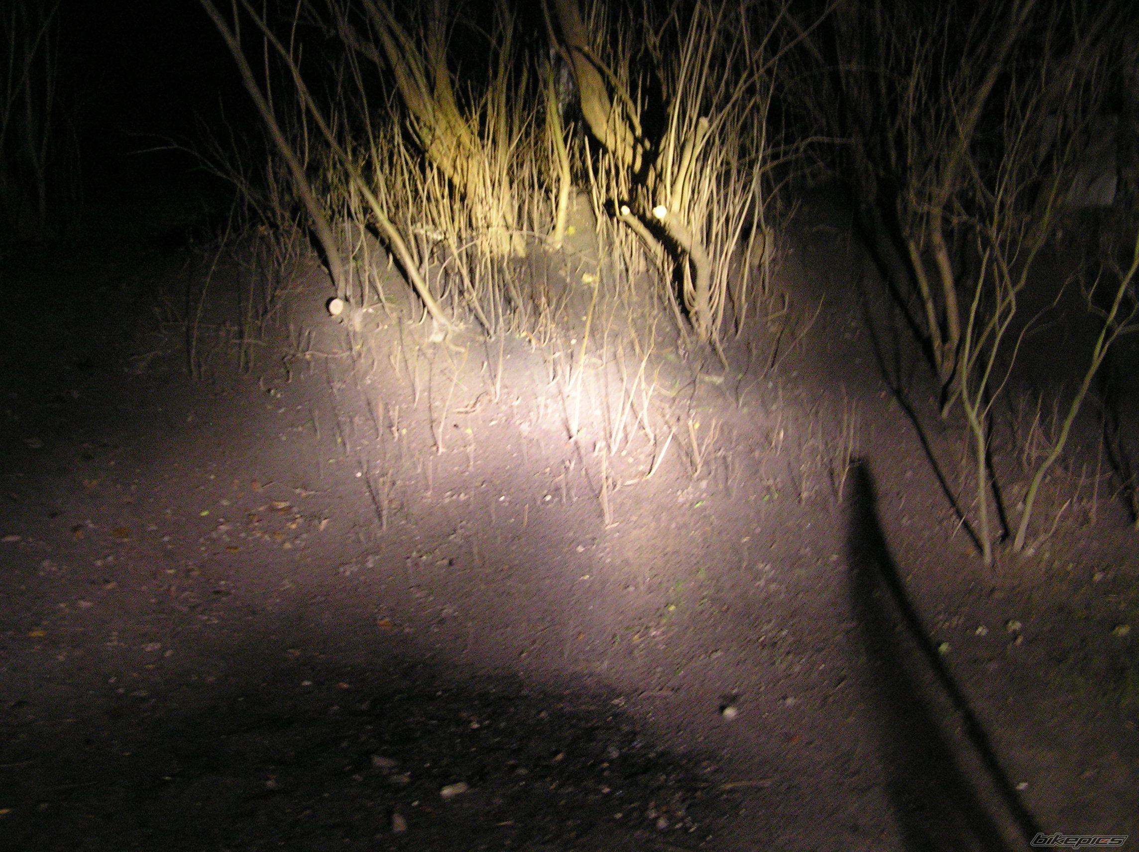 Bike Photo 1111158