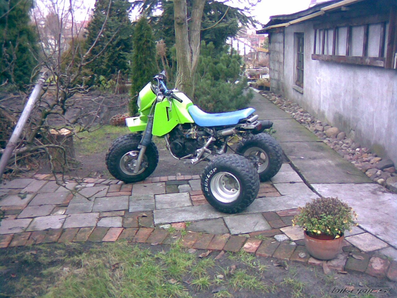 Photo 1111244