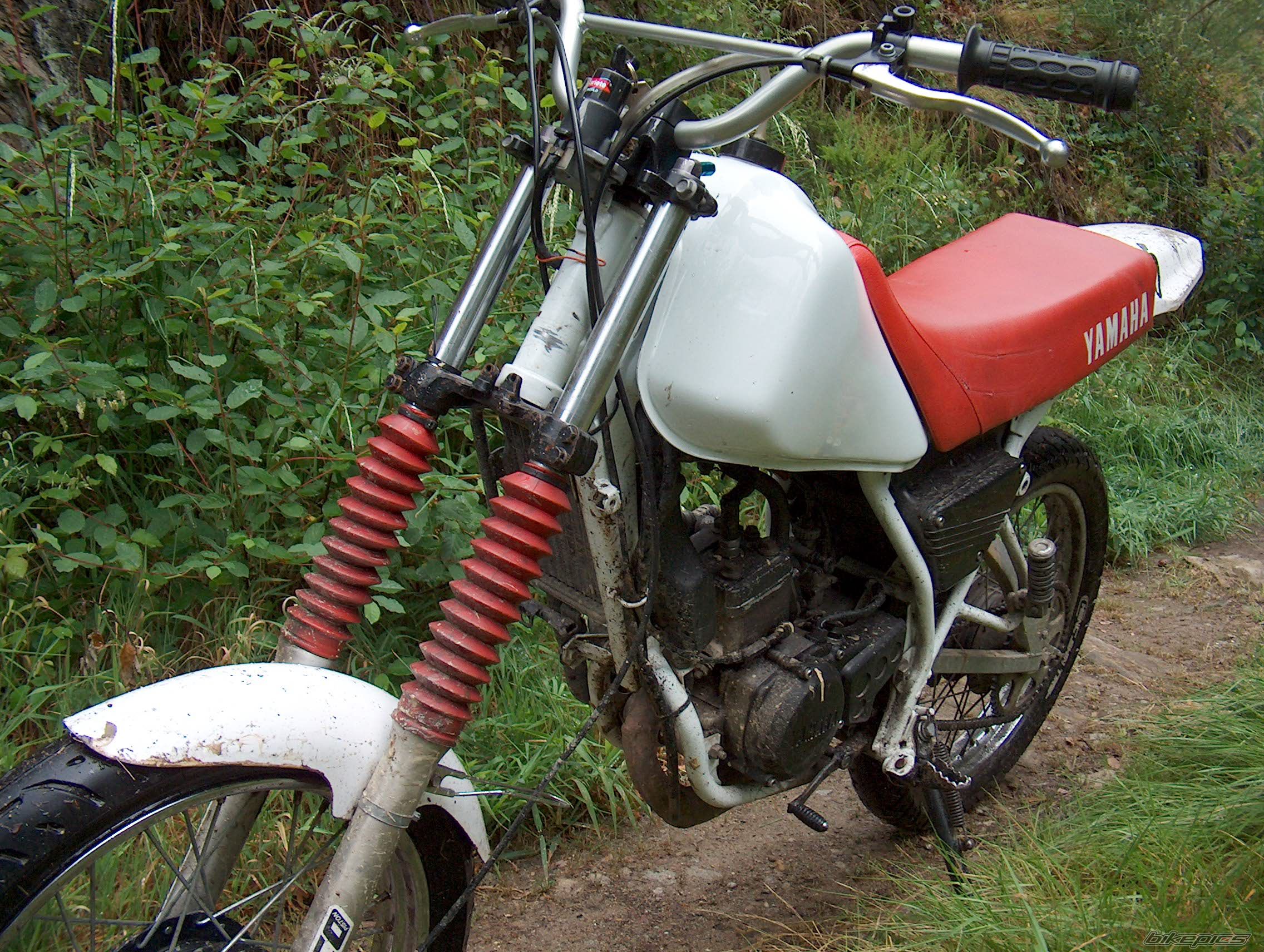 Bike Photo 1111293