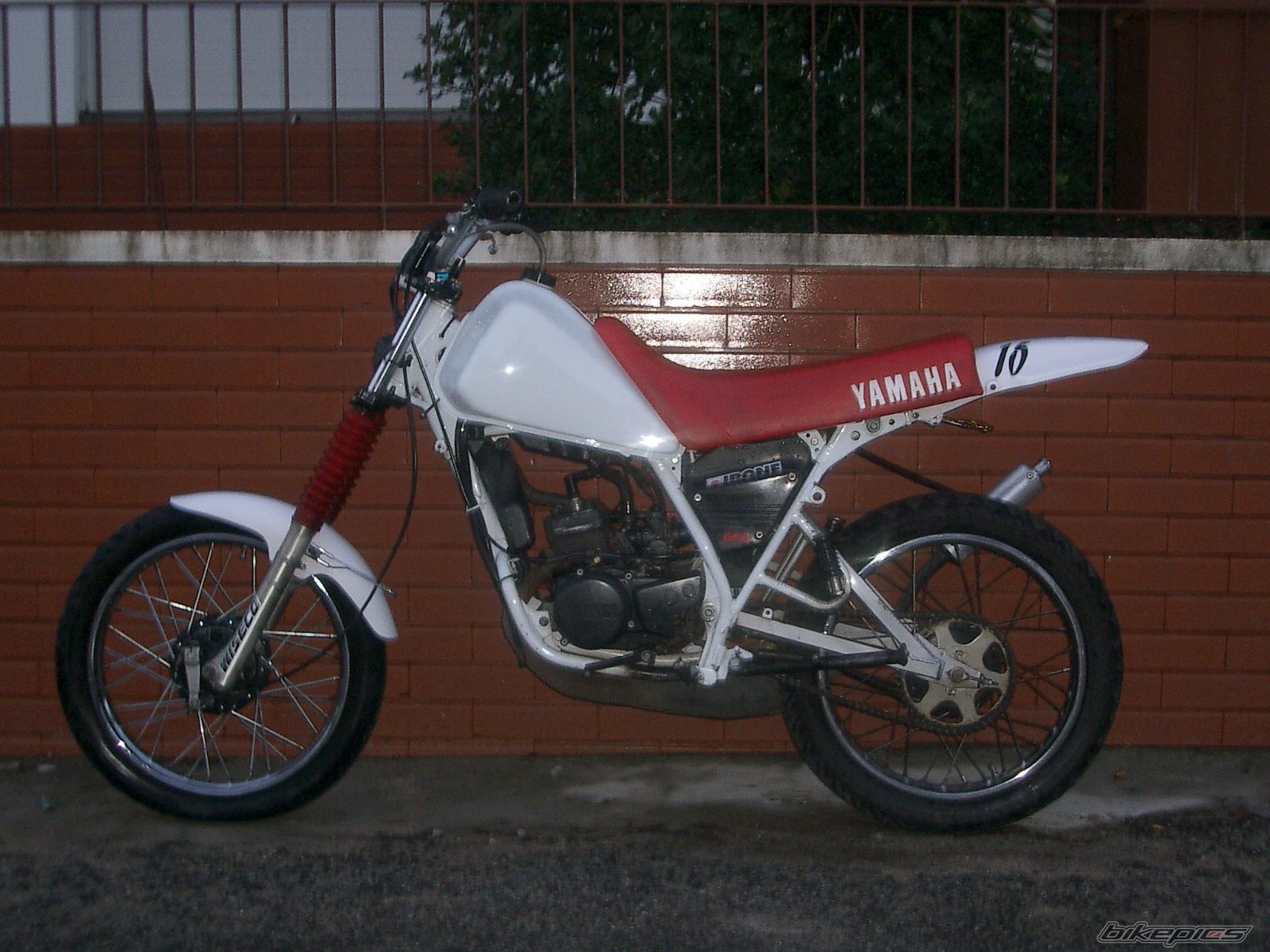 Photo 1111294