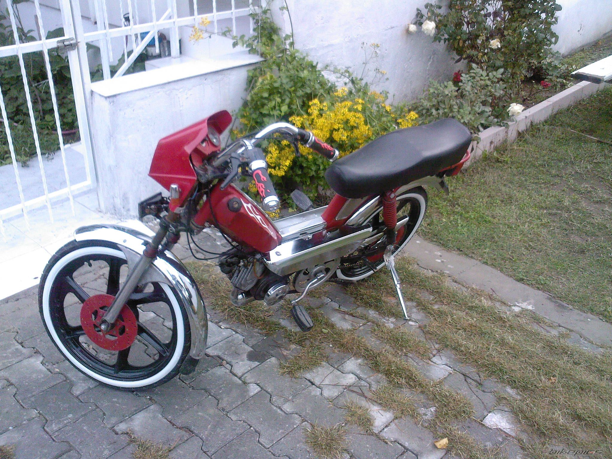 Photo 1111301