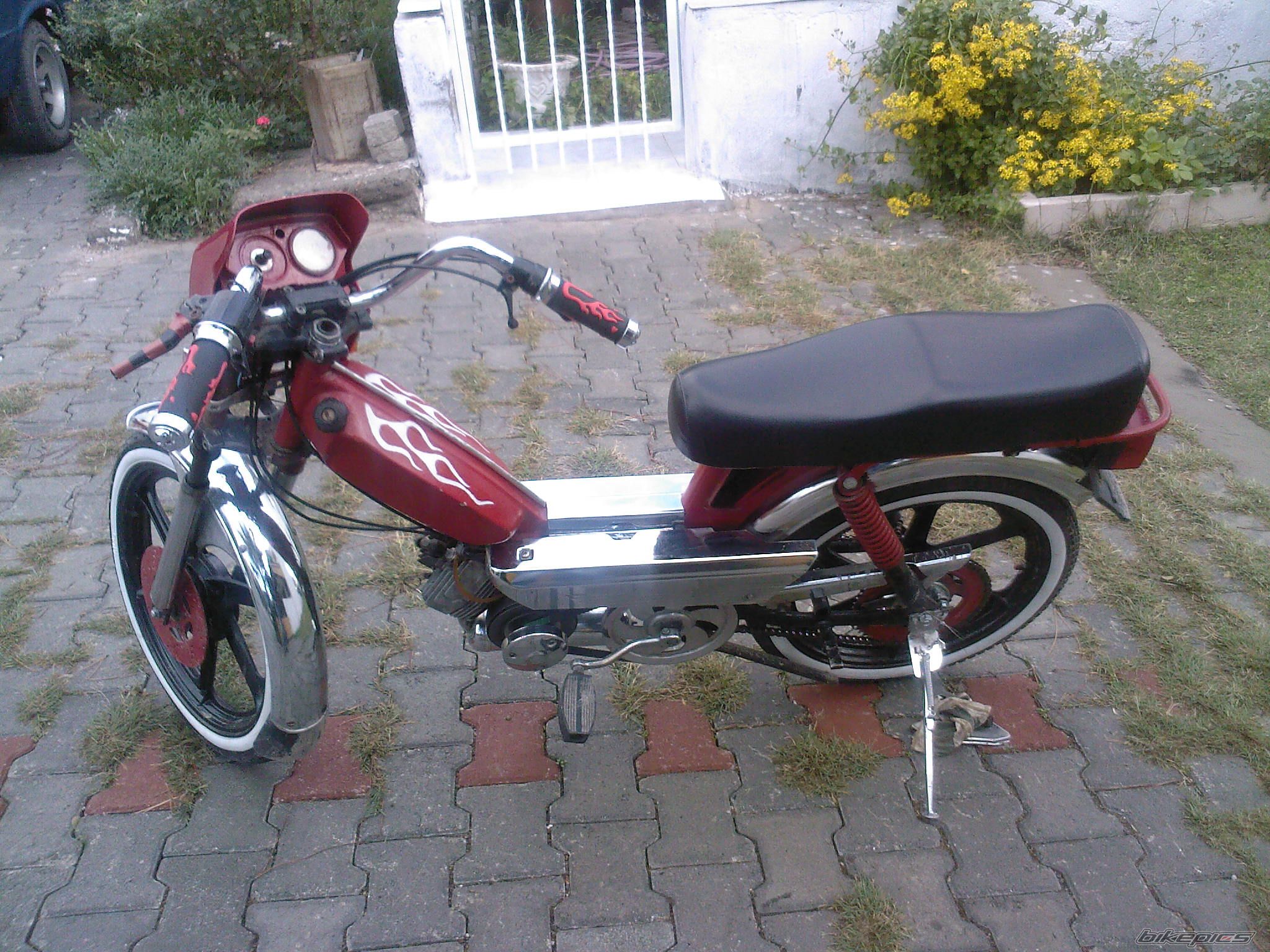 Photo 1111303