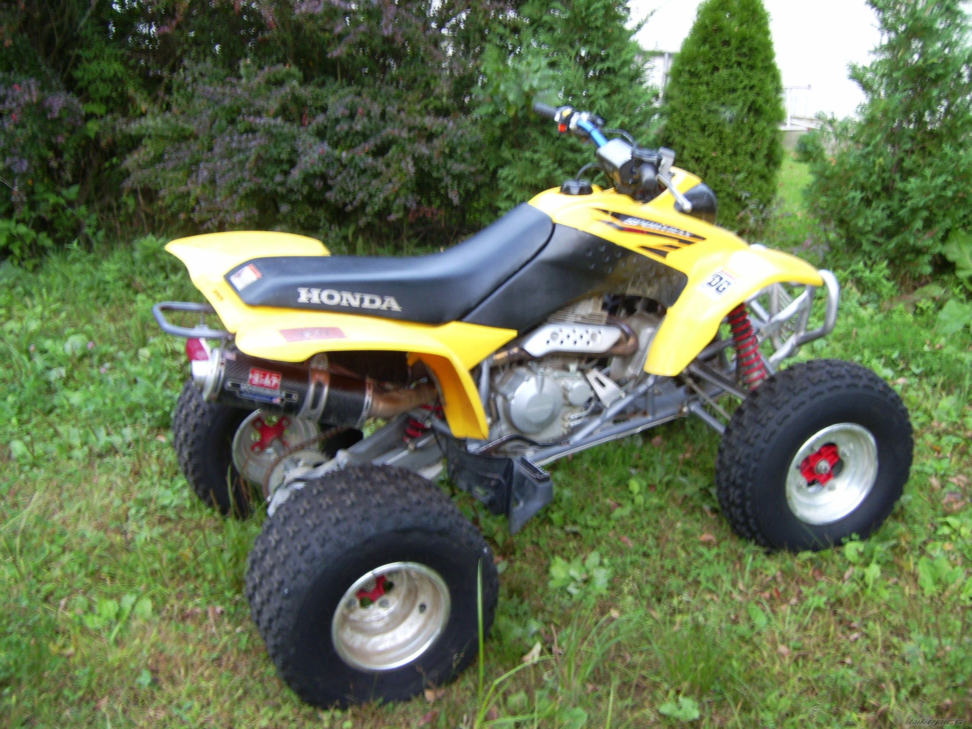 Photo 1111382